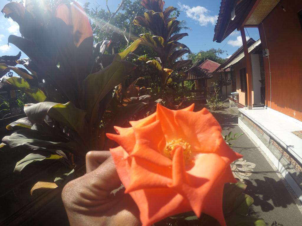 Dipa Home Stay Ubud  Ngoại thất bức ảnh