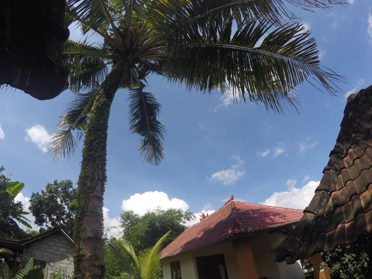Dipa Home Stay Ubud  Ngoại thất bức ảnh