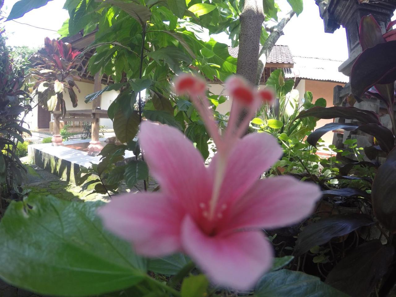 Dipa Home Stay Ubud  Ngoại thất bức ảnh